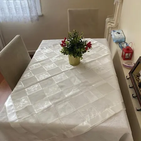 Bakirkoey Boelgesinde Guezel Bir Daire
