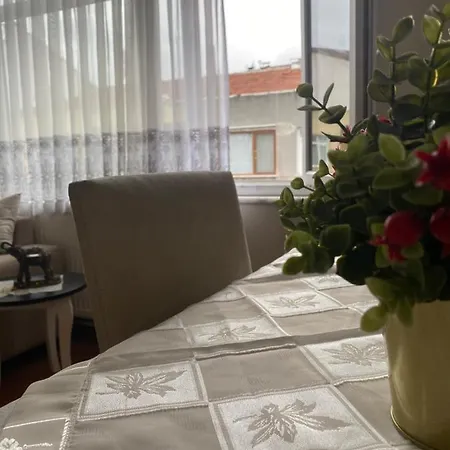 Bakirkoey Boelgesinde Guezel Bir Daire * Istanbul