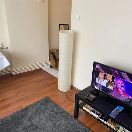 Bakirkoey Boelgesinde Guezel Bir Daire Apartamento *