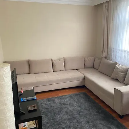 Bakirkoey Boelgesinde Guezel Bir Daire Estambul